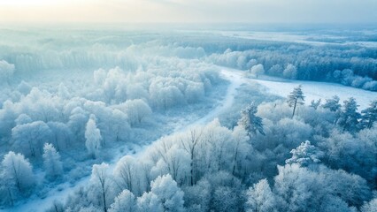 Winter Wonderland Aerial View of Snow Covered Forest