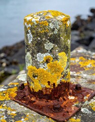 Close Up of Weathered Stone Column Covered in Yellow Lichen near Lake Under Cloudy Overcast Sky