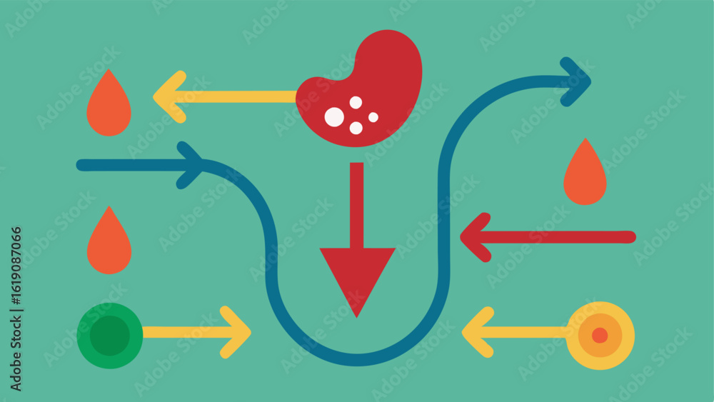 Poster detoxification flow a diagram showing toxins in the body being released with arrows indicating movem