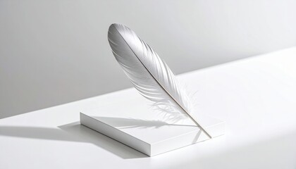Elegant White Feather On A White Surface