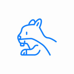 squirrel animal icon sign vector