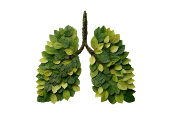 Lungs formed from overlapping green leaves