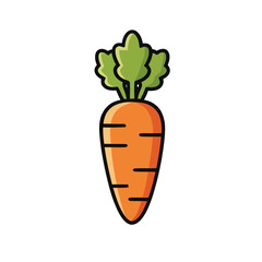 Orange Carrot with Green Top and Small Roots Isolated on White