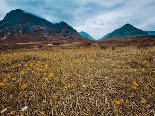 The Glen Coe Valley in Scotland Highlands