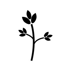 Branch leaves icon. Plant stem symbol. Nature growth graphic. Vector foliage element.