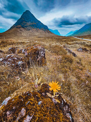 The Glen Coe Valley in Scotland Highlands