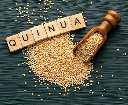 Raw quinoa seeds scattered in a spoon - Chenopodium quinoa