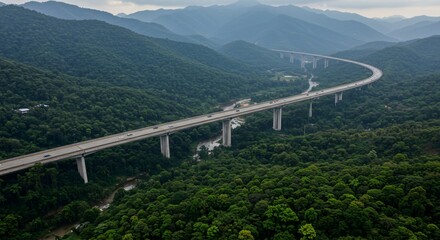 Obraz premium a long bridge in the middle of a forest