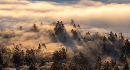 The dawn of Bihoro Pass, where the sun rises through the sea of clouds