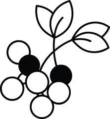 snow berries icon on transparent background