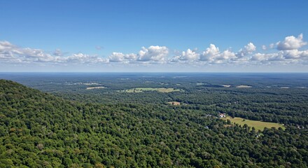a view of a forest from a mountain top