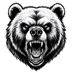 Illustration of an angry bear head with visible teeth and fur in a detailed drawing style artwork