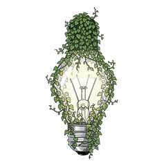 A vintage lightbulb entwined with vibrant green ivy leaves creating a nature inspired aesthetic vision