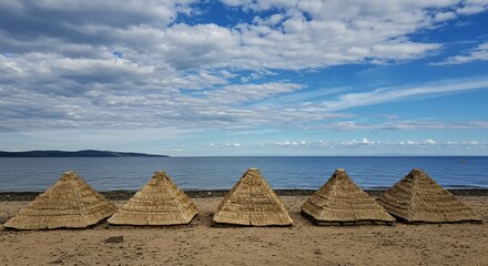 a group of straw umbrellas on the beach