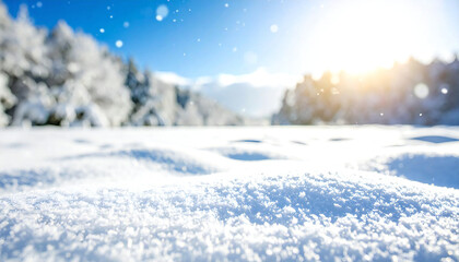 Fototapeta premium 冬の景色。雪が降る雪原の広がる大地の風景。晴れ。積雪。粉雪。光。A winter scene. A landscape of a vast expanse of snow-covered land. Clear skies. Snowfall. Powdery snow. Light.