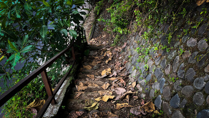 Old stone Staircase Leading Downwards with Foliage and Handrail