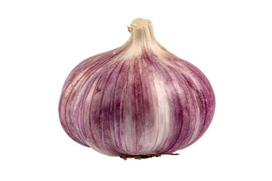 Single bulb of purple garlic isolated on black background
