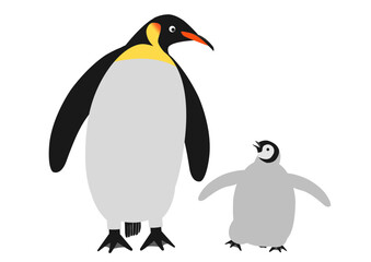 向かい合うコウテイペンギンの親子のイラスト_正面
