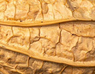 Close Up Detail of Walnut Shell Texture Featuring Brown Veins in a Natural Pattern