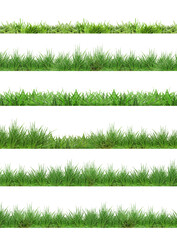 Fresh lush green grass isolated on white, set