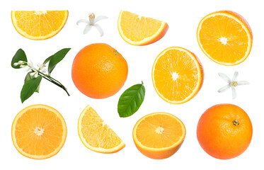 Fresh oranges, green leaves and blossoms isolated on white, set