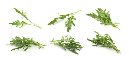 Fresh green arugula on white background, set