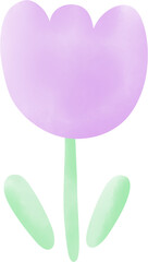 Purple tulip watercolor