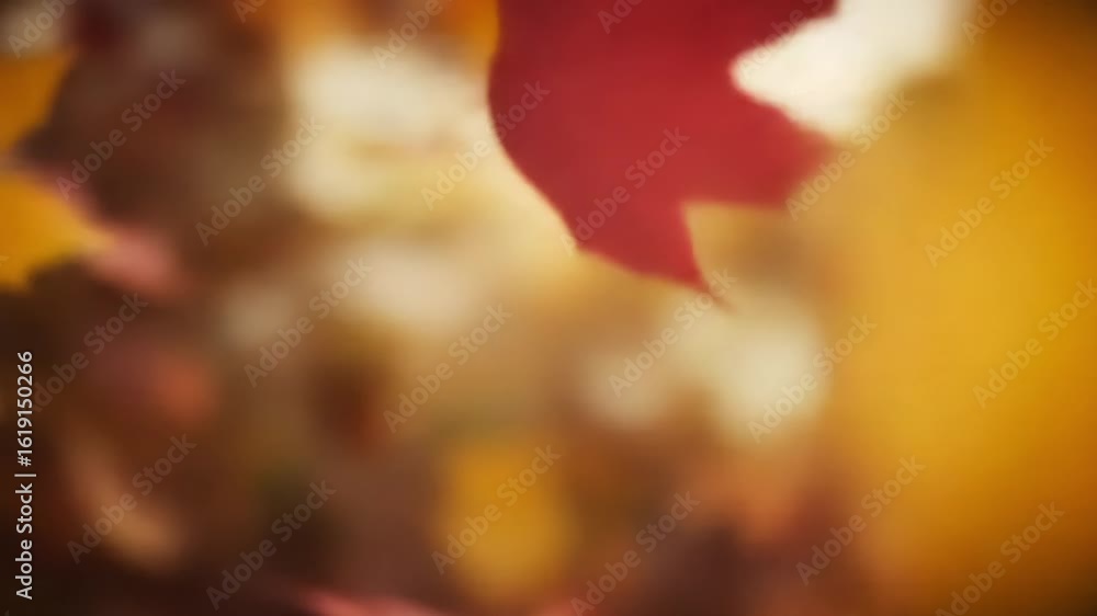 Poster blurred autumn leaves and bokeh lights abstract background