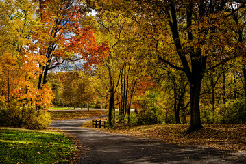 Naklejka premium Beautiful golden autumn with a multi colors.