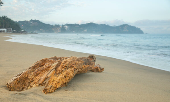 Sayulita Beach, Nayarit, Mexico. Big peace of wood on the beach. Beautiful mourning view. Horizontal format. 