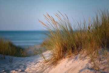 Soft sunset light bathes beach dune grasses, their seed heads swaying gently before a calm ocean horizon