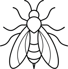 insect icon outline vector illustration on transparent background