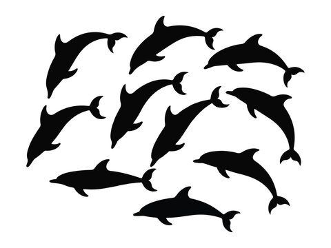 Dolphin Silhouette Vector Set &ndash; Jumping Marine Animal Black Icons Collection