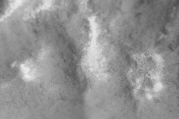 Mushy stuff on soybean tempeh called mycelium