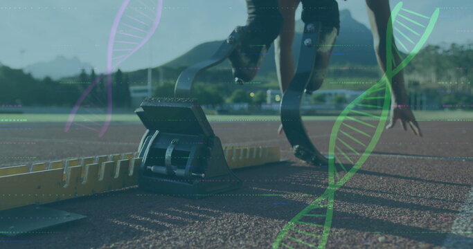 Fototapeta Bracing teen sprinter in shorts pushing off blocks on track, with prosthetic blades, DNA graphics