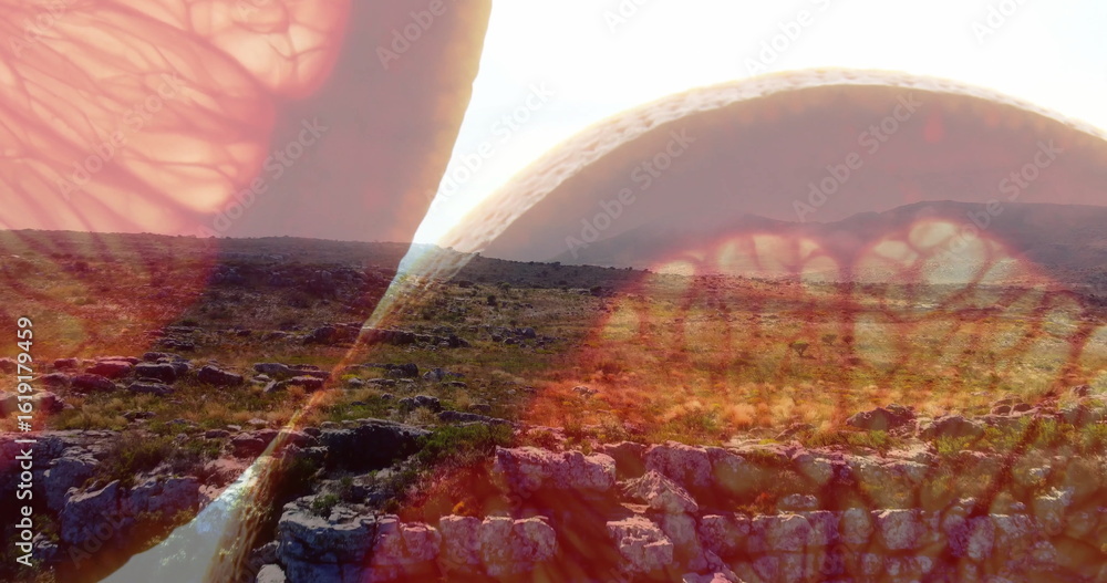 Poster floating large grapefruit slice hovering over grassy rocky plateau, showing double exposure effect