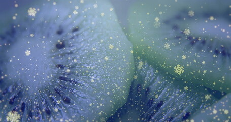 Displaying macro kiwi fruit slice showing blue-green pulp texture in studio, with snowflake icons