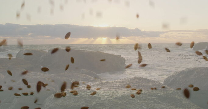 Naklejki Rising jagged rock formation standing out at coast under golden sun rays, with drifting brown seeds