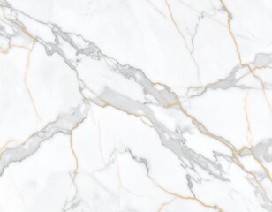 Obraz premium 白大理石の高級テクスチャ – ゴールドとグレーの繊細なベイン模様Luxury White Marble Texture with Elegant Gold and Gray Veins – High Resolution Background 