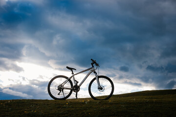 Obraz premium mountain bike on flowering grassland mountain top
