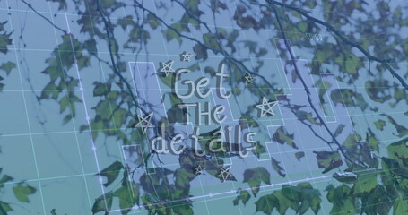Showcasing white script text floating over tree canopy with blue grid overlay and star doodles