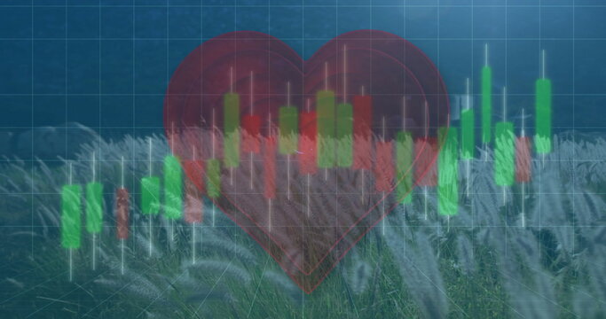 Displaying translucent red heart overlaying meadow grid, featuring red and green candlestick bars - Powered by Adobe