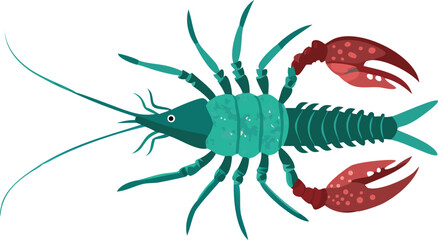 crayfish food isolated animal seafood