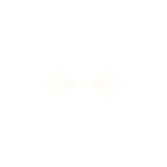 White symmetrical abstract wing-like light burst on transparent background

