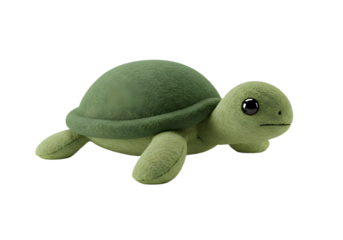 A plush green turtle toy with a round shell sits on a white surface