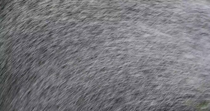 散水の水しぶき