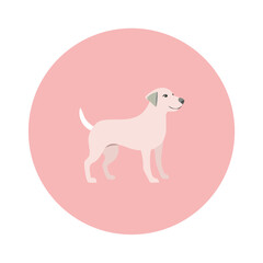Minimalist dog illustration on pastel pink background