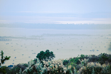 African landscapes: plains, settlements, and horizons