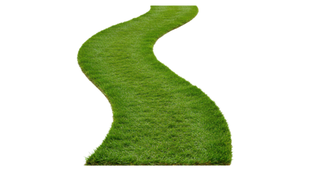 Winding path of fresh green grass isolated PNG with Transparent Background
