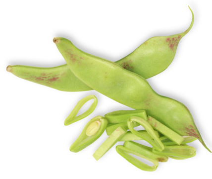 lima beans isolated on transparent background.